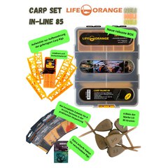 Life Orange Carp Set Inline 85