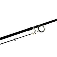 Shimano Bassterra Sea Bass