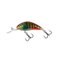 Salmo Rattlin Hornet Floating 3,5cm Hot Gill Clear