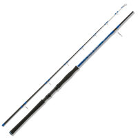 Aquantic Epoxy Tip 2,40m 80-240g