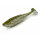 Nays PRDTR Shad 5,0 Inch / 12,7cm C-01