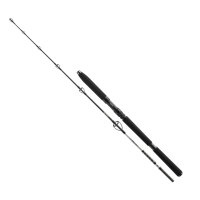 Daiwa BG Offshore Rute Deep Sea 2,20m 30lbs