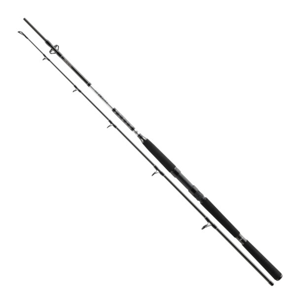 Daiwa BG Offshore Rute Pilk 2,70m 50-165g