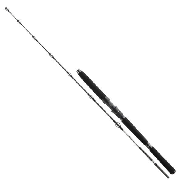 Daiwa BG Offshore Rute Deep Sea 1,75m 30lbs