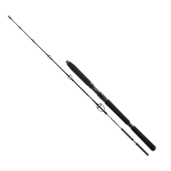 Daiwa BG Offshore Rute Jigger 1,70m 150-400g