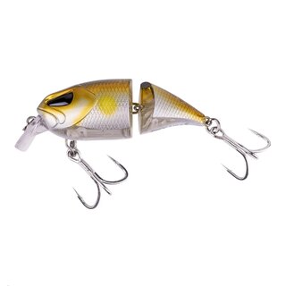 Zeck Cat Pointer 8cm S 1m Ayu