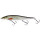 Westin Jerkbite SR 13cm Floating Real Roach