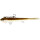 Westin Twinteez Pelagic V-Tail 21cm 70g fertig montiert Baitfish Ghost