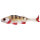 Westin Original Perch Gummifisch 15cm Clear Perch