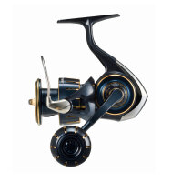 Daiwa 23 Saltiga 6000 H