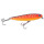 Iron Claw Doiyo Supido Midi 60 Omote SB