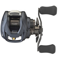 Daiwa Steez A II TW 1000L