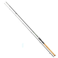 Daiwa Wilderness Solid Spin Rute 2,00m 2-10g