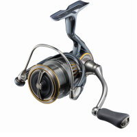 Daiwa 23 Airity LT 4000-XH