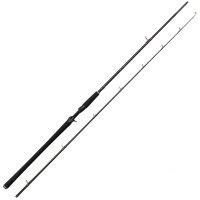 Westin W2 Powercast-T Baitcastrute 2,48m XXH 40-130g