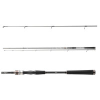 Daiwa Exceler Spin Serie 24 2,25m 5-20g