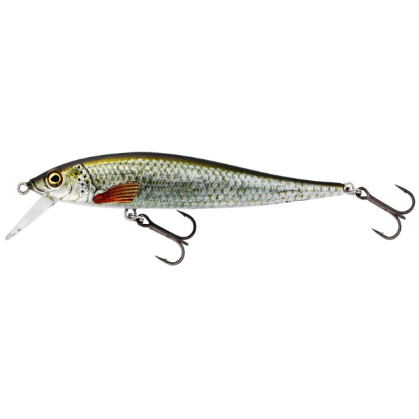 Westin Jerkbite SR 9cm 8g Real Roach