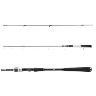 Daiwa Exceler Spin Serie 24 2,70m 20-60g