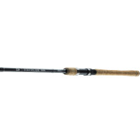 Daiwa Exceler Traditional Spinnrute 2,40m / 20-60g