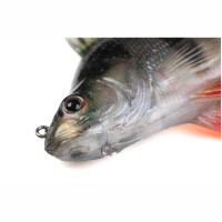 Fox Rage Ultra Realistic Perch Replicant 14cm/55g