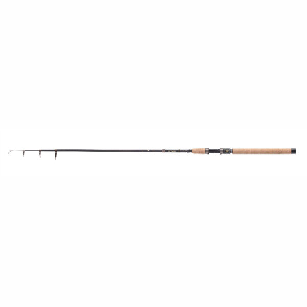 Balzer Diabolo Golden Circle Tele 25 Rute 2,10m