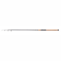 Balzer Diabolo Golden Circle Tele 25 Rute 2,10m