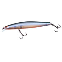 Zeck Zander Läufer 10,5cm 0,5m F Ukki Orange