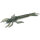Nays DRGN 35 Larve C-33