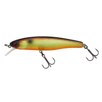 Illex Arnaud 100 F Muddy Roach