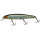Illex Arnaud 110 F HS Ghost Minnow