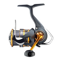 Daiwa 24 Iprimi LT Rolle 1000 S-P