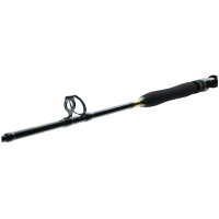 Daiwa BG Big Game Travel Rute 1,68m 30-50lbs