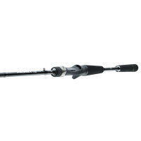 Daiwa Prorex S Baitcast Rute 2024