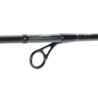 Daiwa Prorex AGS Spin Rute 2024 2,50m / 28-70g