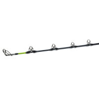 Daiwa Tanacom Ultra Deep 2,10m 400-1000g