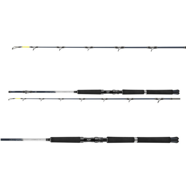 Daiwa Leobritz Deeprop Bootsrute 2,15m 200-600g