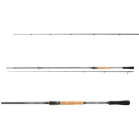 Daiwa Airity Hybrid Spin Rute 2,45m 14-56g