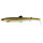 Westin BullTeez Shadtail 24cm Limited Edition CF Earth Perch