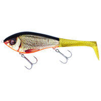 Westin Swim Tail Glidebait 12cm Jerkbait sinking Real Rudd
