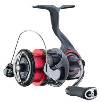 Daiwa 25 Ballistic Air LT Rolle