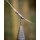 Fox Edges CamoTubing Lead Clip Kit 5pcs