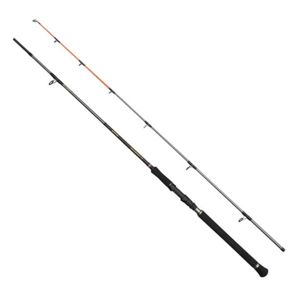 Penn Regiment IV Spin/Pilk 2,70m 100-250g
