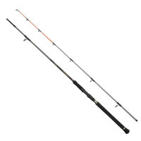 Penn Regiment IV Spin/Pilk 2,70m 100-250g
