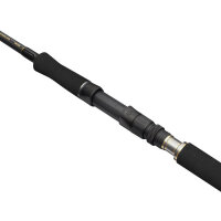 Penn Regiment IV Spin/Pilk 2,70m 100-250g