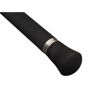 Penn Regiment IV Spin/Pilk 2,70m 100-250g