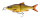 Savage Gear 3D Glide Roach 23cm Clear Rudd