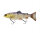 Savage Gear 3D Line Thru Trout 20cm Clear Blue Trout