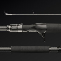 Nays NXT Pro Casting Rute 2,20m / 10-40g