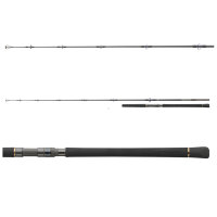 Daiwa Saltiga Popper Rute 2,40m 120-165g