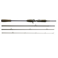 Savage Gear SG4 Fast Game BC TR 2,21m 30-80g 4teilig